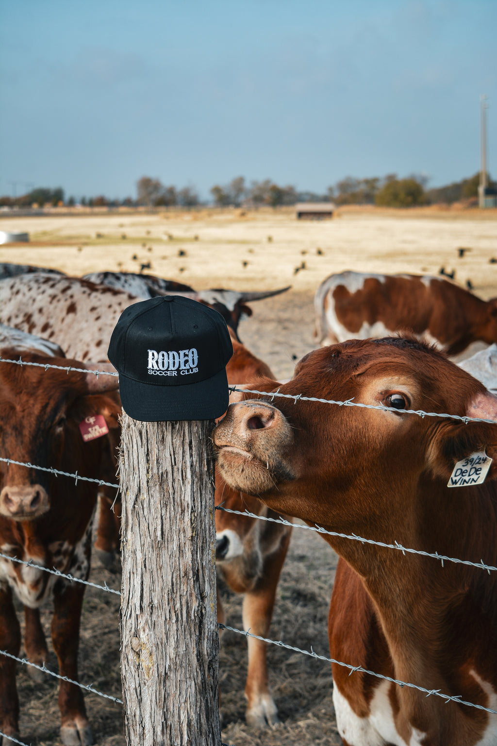 Wordmark Baseball Cap