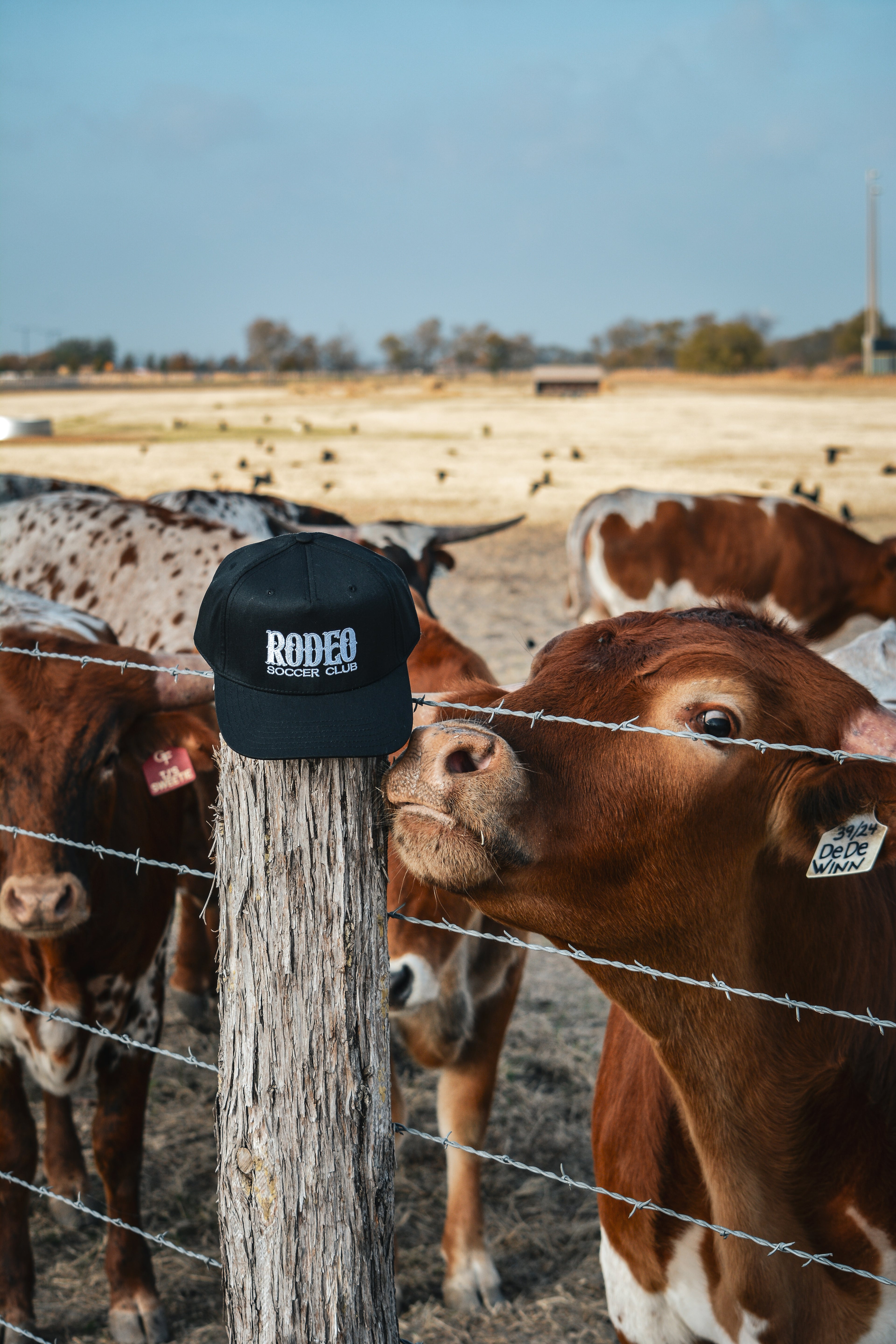 Wordmark Baseball Cap
