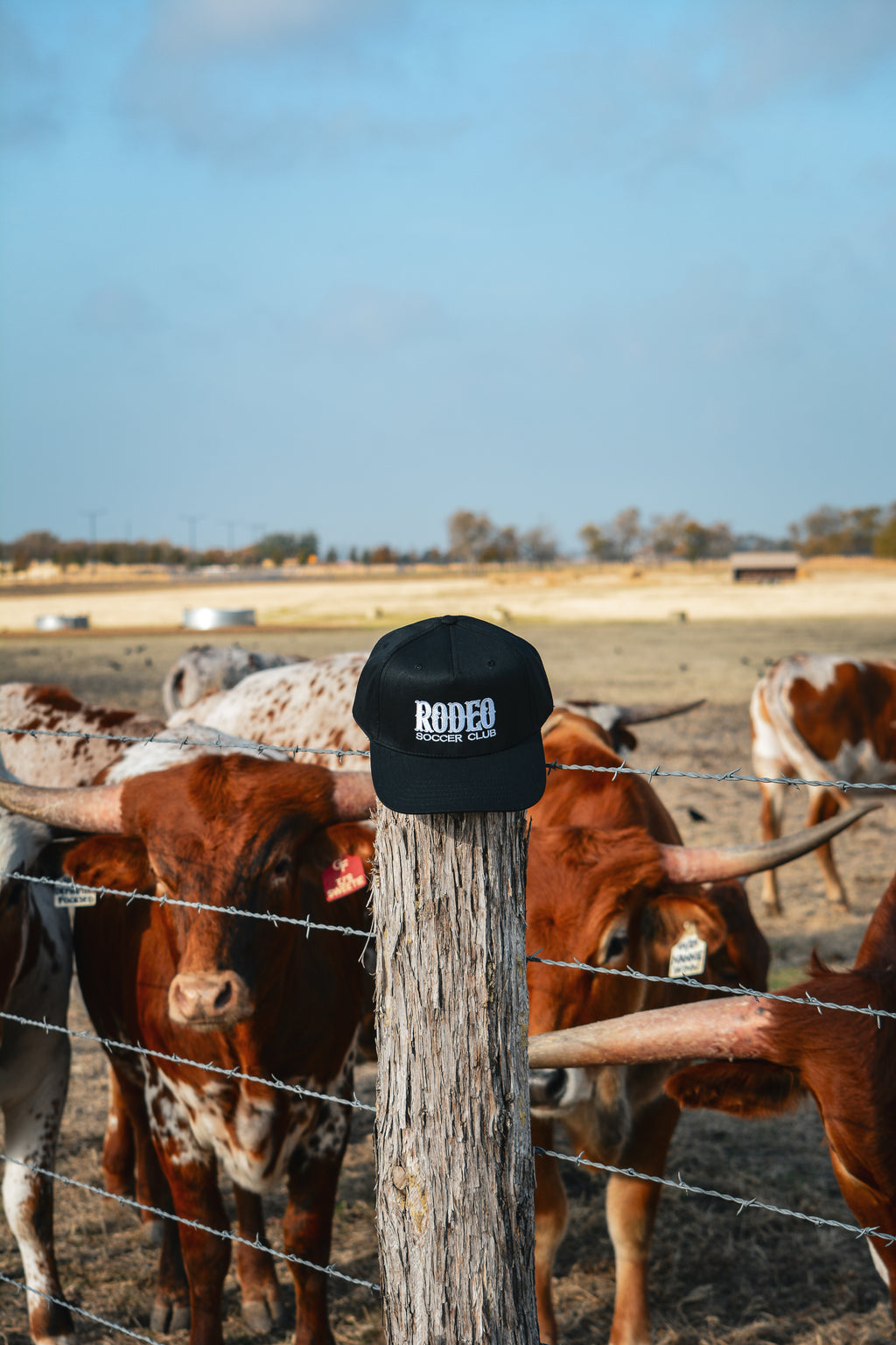 Wordmark Baseball Cap