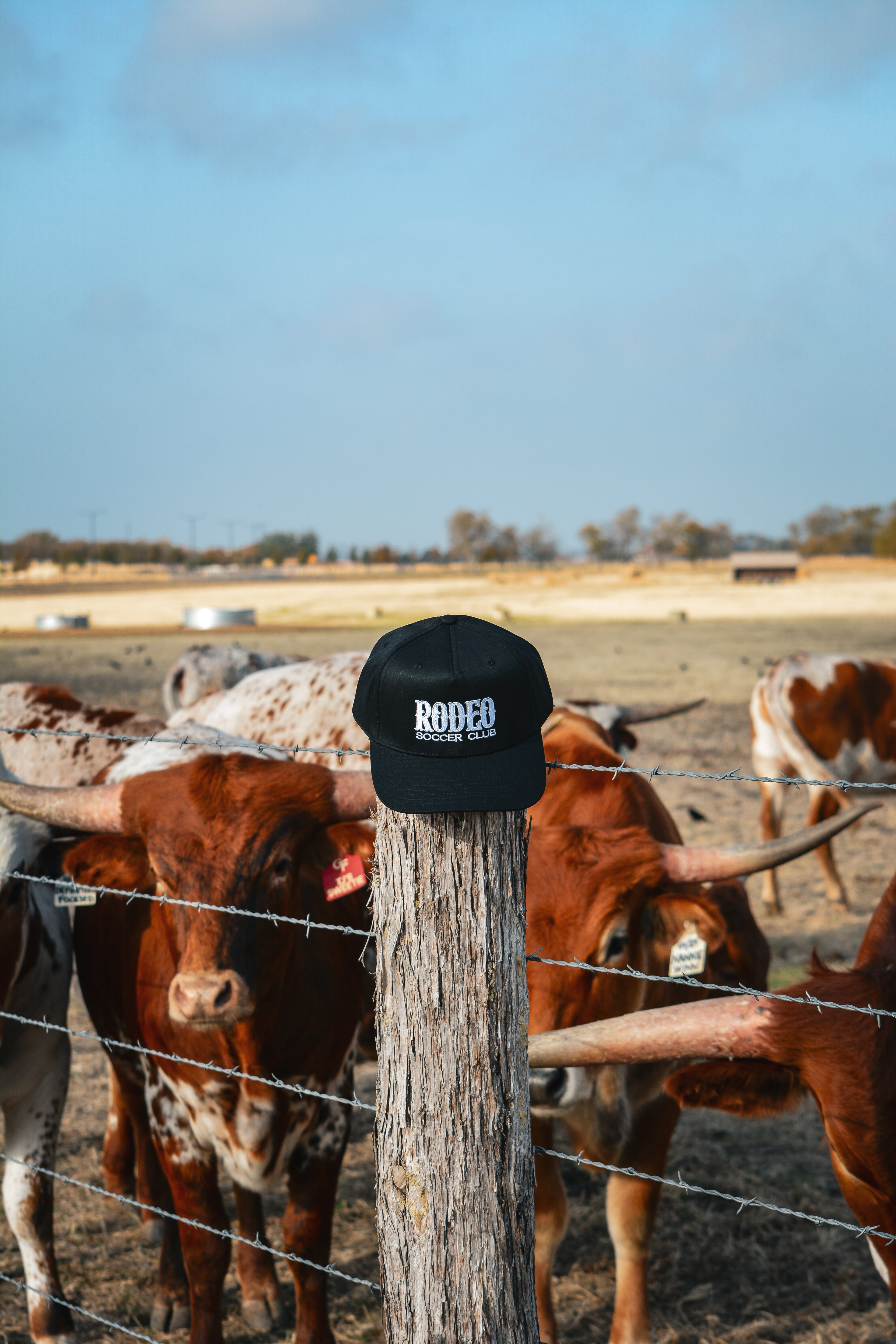 Wordmark Baseball Cap